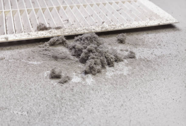 Best Ductwork Cleaning Services  in River Road, OR